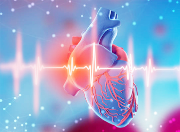 Cardiology (हृदय रोग विभाग)