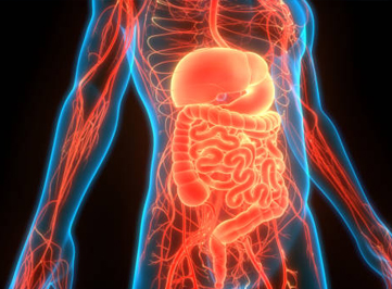 Gastroenterology (पाचन रोग विभाग)