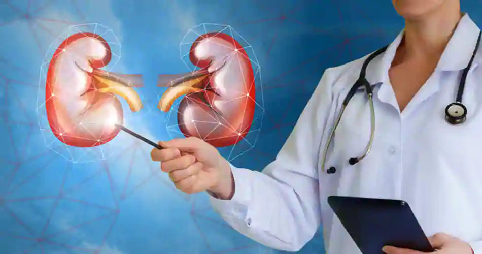 Urology (मूत्र रोग विभाग)